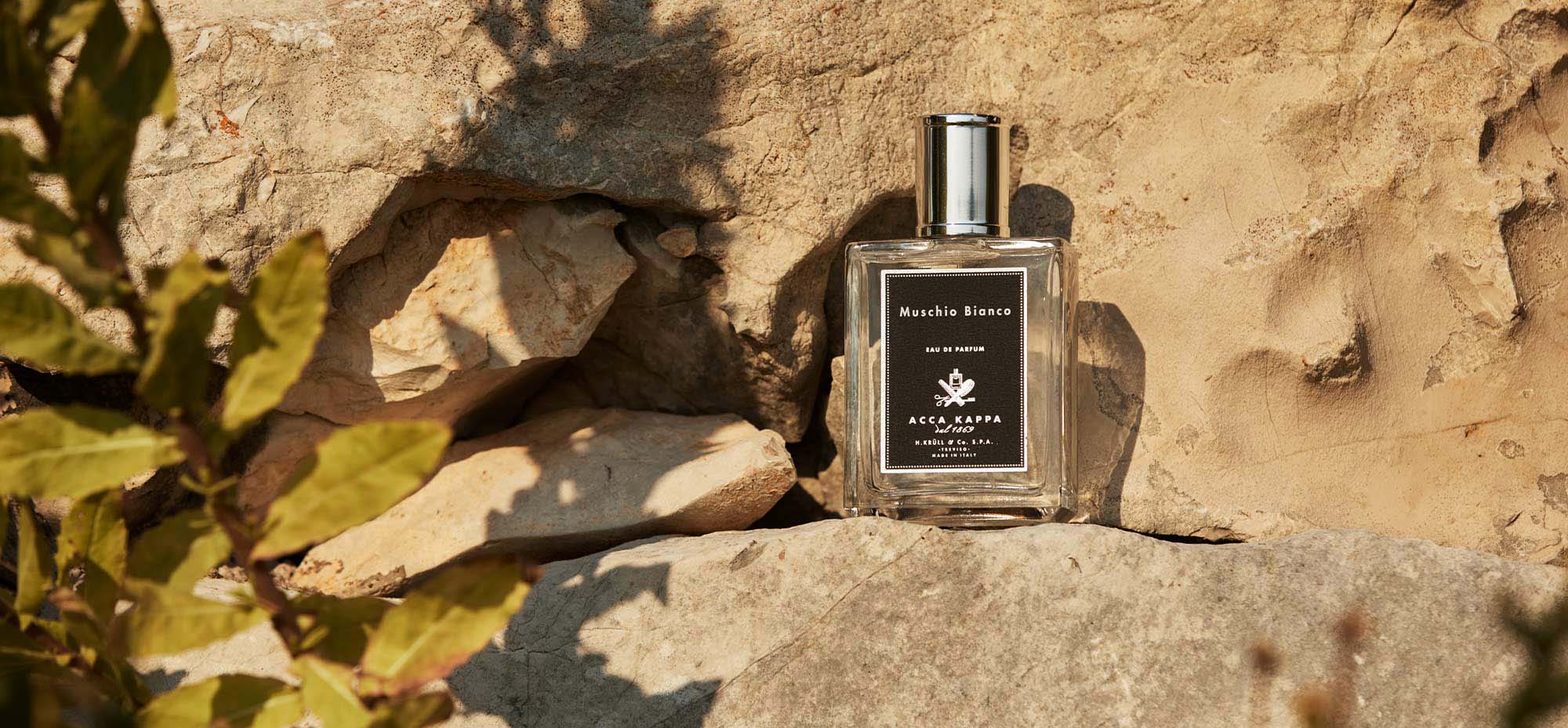 Fragrance Guides – ACCA KAPPA