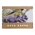 ACCA KAPPA White Moss Eau de Parfum and Hand Cream gift set in kraft box