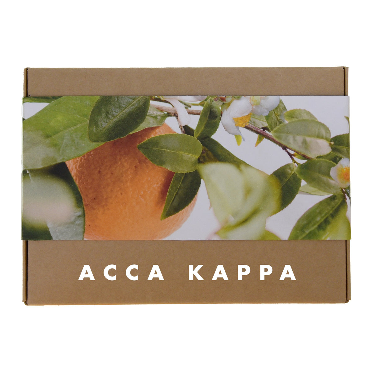ACCA KAPPA Mandarin &amp; Green Tea Eau de Parfum and Pocket Brush gift set in kraft box