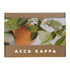 ACCA KAPPA Mandarin & Green Tea Eau de Parfum and Pocket Brush gift set in kraft box