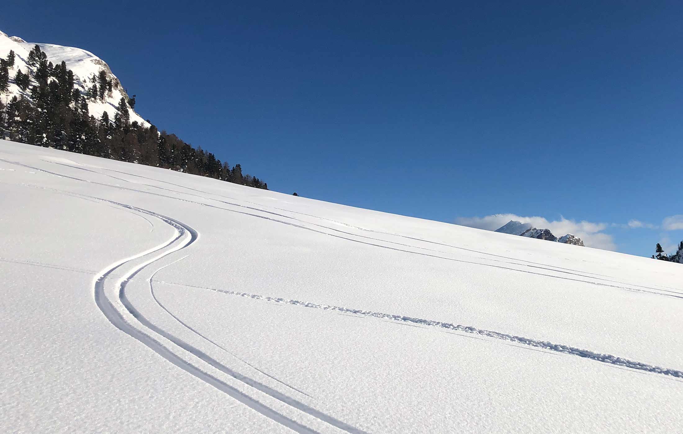 alpine landscape